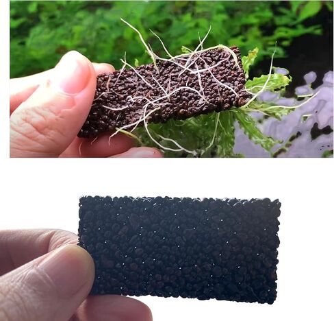 طقم حامل نباتات حوض السمك ChuCraftVN، 10 وسادات حصى، 2.4 × 1.2 بوصة. 10 ربطات عنق بسحاب. 1 غراء مائي. in Kuwait