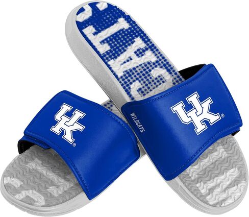 FOCO Kentucky Wildcats NCAA Men Gradient Wordmark Gel Slide - XL in Saudi Arabia