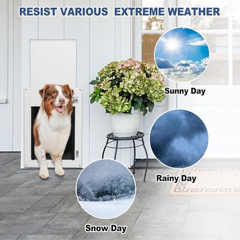 باب الكلب Sidasu للجدار قابل للتعديل وعمق باب الحيوانات الأليفة للجدار مع قفل ألومنيوم آمن، باب الكلب مناسب للجدران الداخلية والخارجية، متوسط ​​(الحيوانات الأليفة حتى 40 رطل) in Kuwait