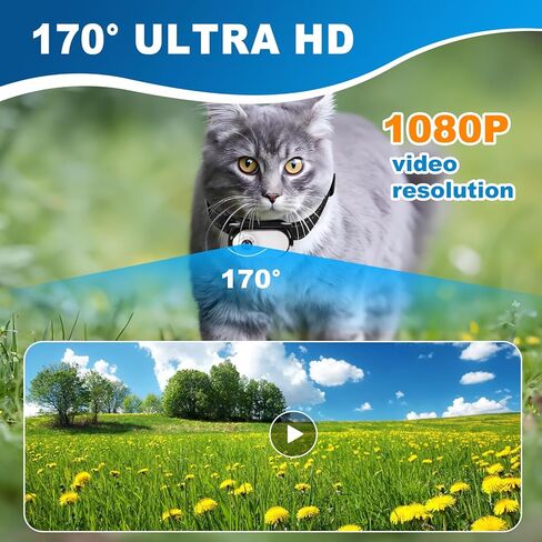 طوق كاميرا للقطط 1080 بكسل - كاميرا رياضية صغيرة لاسلكية مع تسجيل فيديو، كاميرا حركة صغيرة لمستلزمات الحيوانات الأليفة، كاميرا جسم داخلية/خارجية للقطط (أبيض) in Kuwait