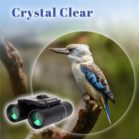 300x25 Binoculars for Adults, High Powered Compact Small Mini Pocket Binocular for Bird Watching Hunting Football Concert Traveling Sightseeing, Black in Saudi Arabia
