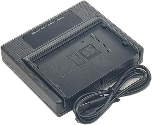 VW-VBS2 Battery Charger USB Single for VW-VBS1E VBS1 VBS2E VBR1 VBH1 BN-V11U V12U V22U V25U Video Camcorder Compatible c1a in Saudi Arabia