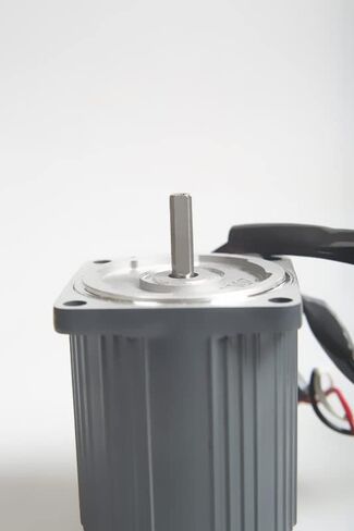 Davitu AC Motor - 250W 220V AC optical axis speed control motor 6IK250RA-CF + speed governor - (Speed: Shaft 12mm) in Saudi Arabia