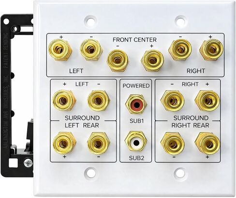 2 Speaker Wall Plate, Home Theater Wall Plate, Gold Plated Binding Posts, for Home Theater Setup in Saudi Arabia
