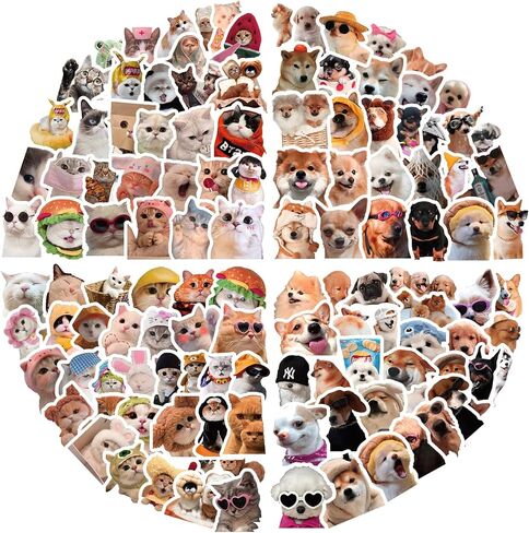 حزمة ملصقات السفر العالمية 150pcs ، ملصقات أمتعة فينيل مقاومة للماء لحقائب المجلات المحمولة لزجاجة ماء - شارات الريف والمعالم الفريدة لدراجات دراجات السير في سجلات الدراجات. in Kuwait
