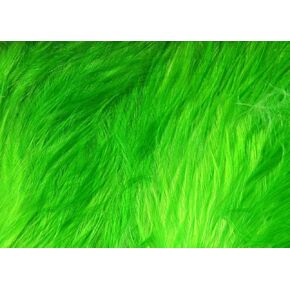 هارلين وولي بوججر مارابو الريش الأسود in Kuwait