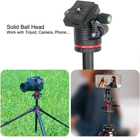 36mm Tripod Ball Head 360 Degree Rotating Panoramic with 1/4 inch Quick Release Plate Bubble Level for Monopod Camera Camcorder Load Capacity up to 11lbs/5KG in Kuwait