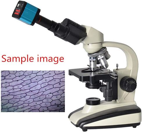 Cámara de microscopio industrial USB de alta definición HDMI con adaptador de conversión 100-240V 37MP 1080P 60FPS (enchufe de EE. UU.)(US Plug) in Saudi Arabia
