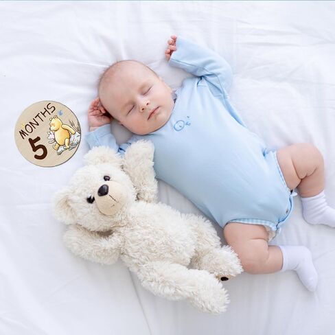 7 قطع من دوائر المعالم الشهرية من ويني بيبي، أقراص خشبية على شكل دب للأطفال من أجل طفلة رضيعة، لافتات دائرية مزدوجة الجوانب لدعم صور حديثي الولادة in Kuwait