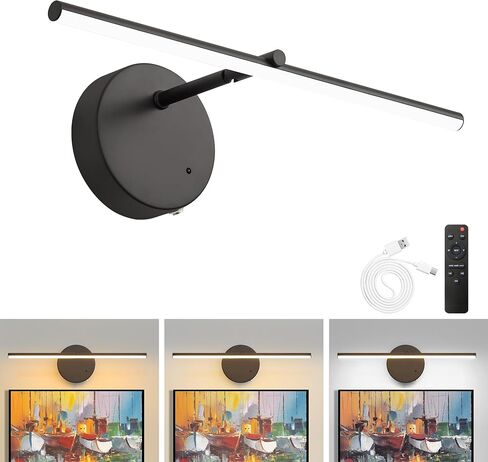 Battery Operated Picture Light with Wireless Remote & Timer Function, 3 CCT Dimmable Gold Wall Art Lights, 24'' 8000mAh Rechargeable Gallery Light for Paintings, Canvas, Artwork, Frames,(1PACK) in Saudi Arabia