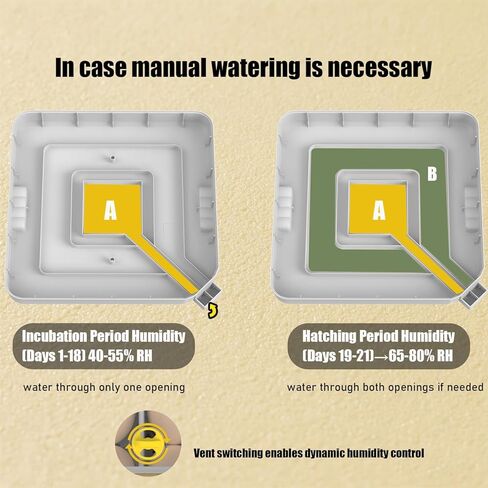 حاضنة حاضنة البيض لوجود بيض 48 بيضة لمزرعة المنزل مع مختبر مع بيضة تلقائية تحول 360 درجة من البيض الشمع in Kuwait