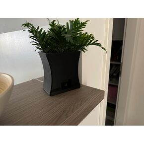 مخبأ مزهرية الكاميرا لـ Blink Mini Indoor - تصميم مخفي يوفر خصوصية إضافية، ويعزز جماليات مساحة المعيشة الخاصة بك (أسود) in Kuwait