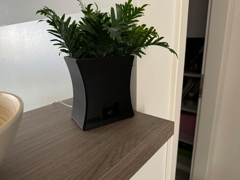 مخبأ مزهرية الكاميرا لـ Blink Mini Indoor - تصميم مخفي يوفر خصوصية إضافية، ويعزز جماليات مساحة المعيشة الخاصة بك (أسود) in Kuwait