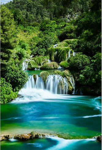 Baocicco 3x5ft Green Tropical Rain Forest Backdrops Clean River Backdrop Water Fall Lake Photography Background Wedding Honeymoon Anniversary Happy Birthday Party Adventure Photo Shooting Props in Saudi Arabia