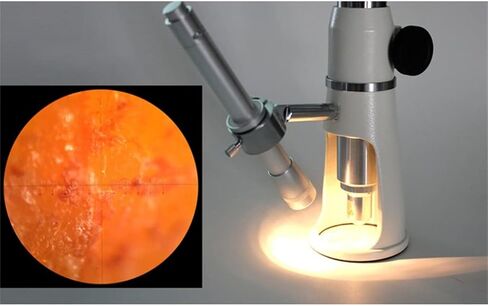 Portable 100x Mini Jewelry Magnifying Glass Microscope Monocular Handle with Gradient in Saudi Arabia