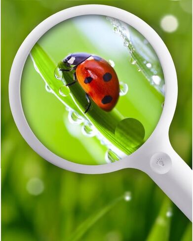 Handheld Charging Touch Switch LED Light Reading Magnifying Glass in Kuwait