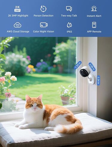 Lepro 2K Security Indoor & Outdoor Camera for Baby Care, Pet Monitoring, Remote Intercom, Night Vision, 2-Way Audio, Cloud & SD Card Storage (SD Card Not Included) in Saudi Arabia