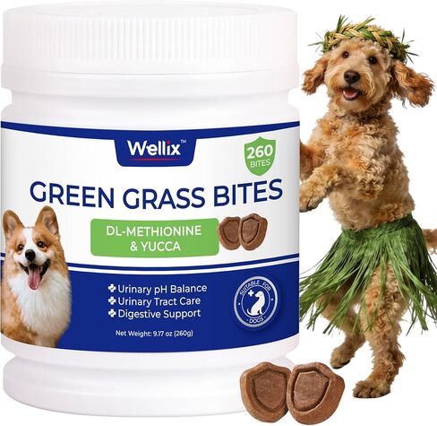 260 Bites Wellix Dog Skin and Coat Supplement - Affordable, Long-Lasting Omega 3 Fish Oil for Dogs - Supports Skin & Coat, Itching Relief & Anti-Shedding Tasty Dog Allergy Chews in Kuwait