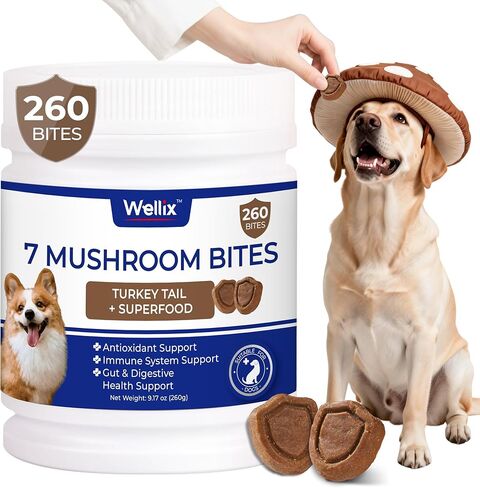 260 Bites Wellix Dog Skin and Coat Supplement - Affordable, Long-Lasting Omega 3 Fish Oil for Dogs - Supports Skin & Coat, Itching Relief & Anti-Shedding Tasty Dog Allergy Chews in Kuwait
