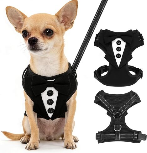 BINGFPET Dog Tuxedo Harness,Adjustable Reflective Dog Vest Harness and Leash Set Soft Mesh Padded,Formal Pet Wedding Outfit with Bow Tie Party Costume for Puppy Small Medium Dogs(Navy Blue,XS) in Saudi Arabia