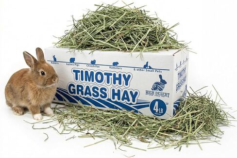 1st Cut Timothy Hay, Premium Natural Timothy Grass Hay for Rabbits, Guinea Pigs, Chinchillas, High Fiber Rich Food for Small Animal Pets in Kuwait