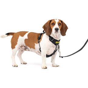 PetSafe Easy Walk Comfort No-Pull Dog Harness Full-Body Padding - Better Walks on 1st Use - 5 Points of Adjustment, XS, Small, Medium & Large Dogs, Blue/Black/Green/Pink