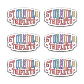 (6PCS) Sturniolo Triplets Merch Sturniolo Triplets Design Sticker 1x2 in Sticker