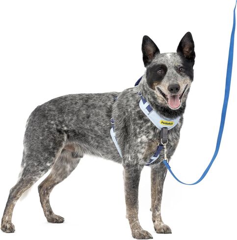 PetSafe Easy Walk Comfort No-Pull Dog Harness Full-Body Padding - Better Walks on 1st Use - 5 Points of Adjustment, XS, Small, Medium & Large Dogs, Blue/Black/Green/Pink in Saudi Arabia