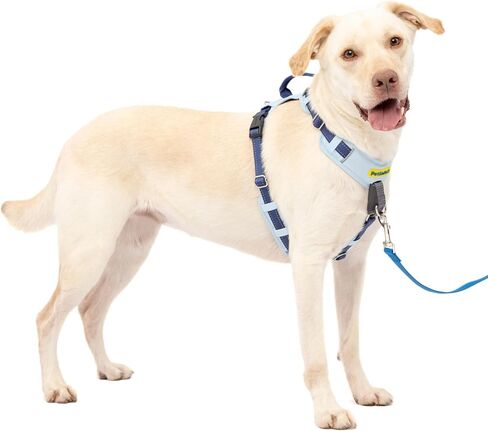 PetSafe Easy Walk Comfort No-Pull Dog Harness Full-Body Padding - Better Walks on 1st Use - 5 Points of Adjustment, XS, Small, Medium & Large Dogs, Blue/Black/Green/Pink in Saudi Arabia