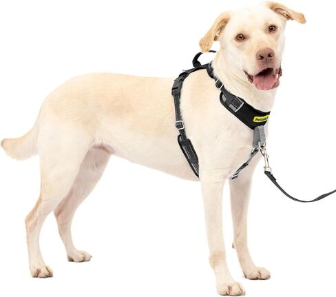 PetSafe Easy Walk Comfort No-Pull Dog Harness Full-Body Padding - Better Walks on 1st Use - 5 Points of Adjustment, XS, Small, Medium & Large Dogs, Blue/Black/Green/Pink in Saudi Arabia