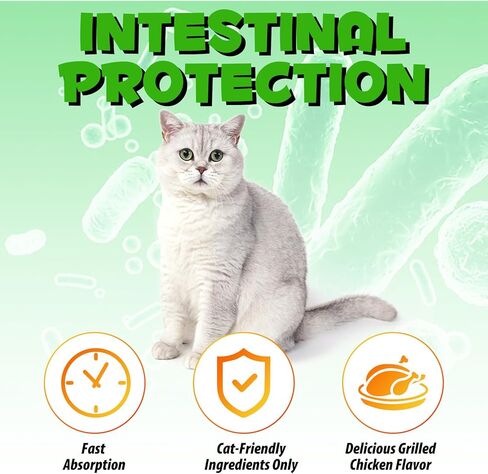 Cat Constipation Relief, 2 Fl Oz Natural Health Supplements to Help Digestion, Relief Constipation for Cat in Kuwait