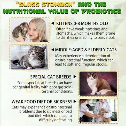 Cat Constipation Relief, 2 Fl Oz Natural Health Supplements to Help Digestion, Relief Constipation for Cat in Kuwait