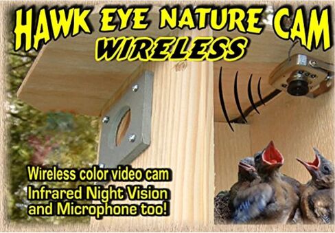كاميرا تجسس Birdhouse Spy Cam BCAMHEW Hawk-Eye اللاسلكية (مجموعة من 1) in Kuwait