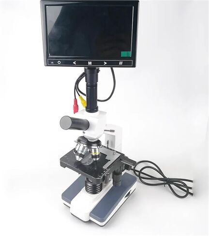 XP604 مختبر المجهر البيولوجي 40X-1600X مع شاشة LCD 5 بوصة للطلاب والمهنيين in Saudi Arabia