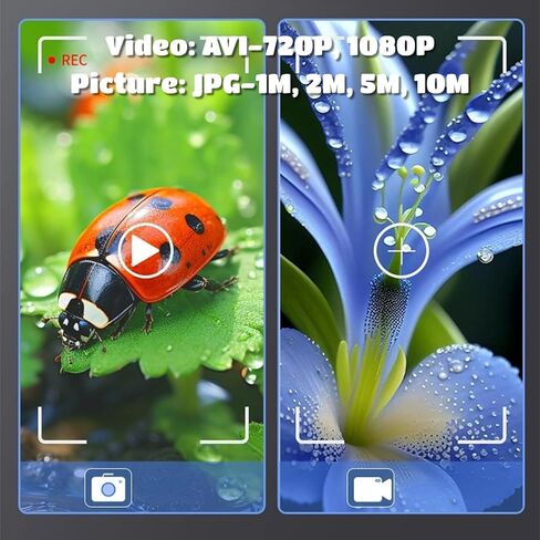 مجهر رقمي Jectse مقاس 4.3 بوصة، تكبير 1000X وشاشة HD 1080P مع كاميرا 10 ميجابكسل، 8 مصابيح LED لفحص المجوهرات وإصلاح لحام ثنائي الفينيل متعدد الكلور in Kuwait