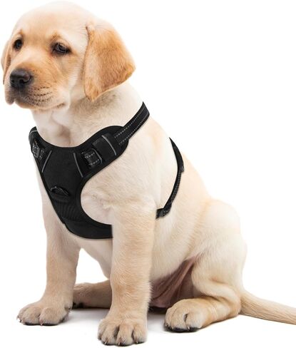 Blue No-Pull Dog Harness with 2 Leash Clips，Soft Padded Vest for Large Dog, Adjustable Reflective Dog Vest Easy to Put on and Take Off, (Neck: 17"~24", Chest: 24"~32",Blue L) in Kuwait