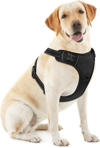 Blue No-Pull Dog Harness with 2 Leash Clips，Soft Padded Vest for Large Dog, Adjustable Reflective Dog Vest Easy to Put on and Take Off, (Neck: 17"~24", Chest: 24"~32",Blue L) in Kuwait