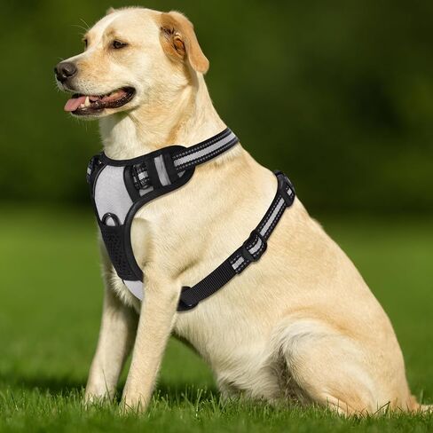 Blue No-Pull Dog Harness with 2 Leash Clips，Soft Padded Vest for Large Dog, Adjustable Reflective Dog Vest Easy to Put on and Take Off, (Neck: 17"~24", Chest: 24"~32",Blue L) in Kuwait