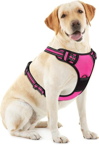 Blue No-Pull Dog Harness with 2 Leash Clips，Soft Padded Vest for Large Dog, Adjustable Reflective Dog Vest Easy to Put on and Take Off, (Neck: 17"~24", Chest: 24"~32",Blue L) in Kuwait