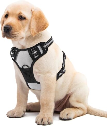 Blue No-Pull Dog Harness with 2 Leash Clips，Soft Padded Vest for Large Dog, Adjustable Reflective Dog Vest Easy to Put on and Take Off, (Neck: 17"~24", Chest: 24"~32",Blue L) in Kuwait