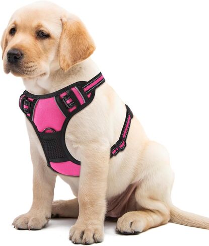 Blue No-Pull Dog Harness with 2 Leash Clips，Soft Padded Vest for Large Dog, Adjustable Reflective Dog Vest Easy to Put on and Take Off, (Neck: 17"~24", Chest: 24"~32",Blue L) in Kuwait
