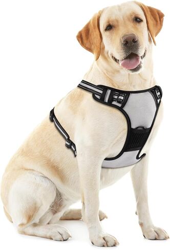 Blue No-Pull Dog Harness with 2 Leash Clips，Soft Padded Vest for Large Dog, Adjustable Reflective Dog Vest Easy to Put on and Take Off, (Neck: 17"~24", Chest: 24"~32",Blue L) in Kuwait