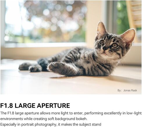 عدسة TTArtisan 35 مم F1.8 II ذات هيكل معدني بتركيز تلقائي AF متوافقة مع حامل FujiFilm FX (أسود) in Saudi Arabia
