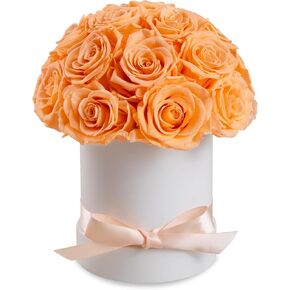 27 إلى الأبد الورود في صندوق أبيض فاخر ، هدية أردية حقيقية للنساء ، يتم الحفاظ على الزهور المحفوظة للتسليم ، الذكرى السنوية ، عيد الحب ، عيد ميلاد لها (أحمر) in Kuwait