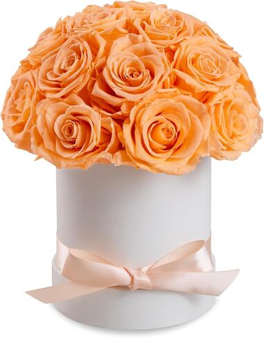 27 إلى الأبد الورود في صندوق أبيض فاخر ، هدية أردية حقيقية للنساء ، يتم الحفاظ على الزهور المحفوظة للتسليم ، الذكرى السنوية ، عيد الحب ، عيد ميلاد لها (أحمر) in Kuwait