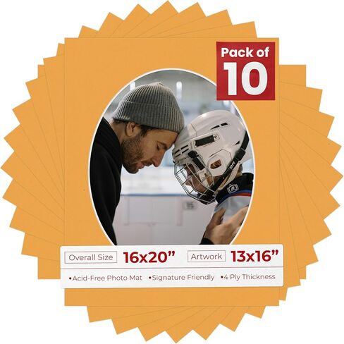 Poster Palooza 16x20 Mat Bevel Cut for 13x16 Photos - Precut Grey Oval Shaped Photo Mat Board Opening - Acid Free Matte to Protect Your Pictures - Bevel Cut for Family Photos, Pack of 1 Matboard in Saudi Arabia