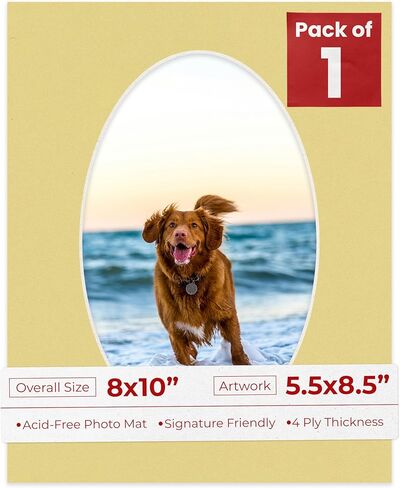 قطع مشطوفة مقاس 8 × 10 للصور مقاس 5.5 × 8.5 - فتحة لوحة صور بيضاوية الشكل باللون الأزرق المائي مسبقًا - غير لامعة خالية من الأحماض لحماية صورك - قطع مشطوفة للصور العائلية، حزمة من لوحة واحدة in Kuwait