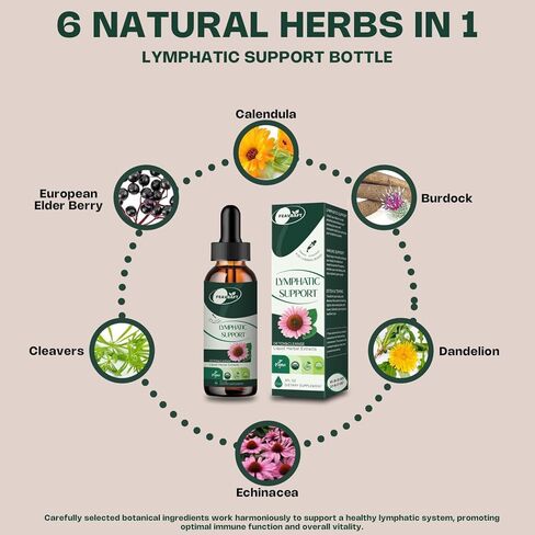 قطرات الصرف اللمفاوية الشحمية-تطهير التخلص من السموم اللمفاوي ودعم المناعة مع-Endelecy ، الهندباء ، الدعم اللمفاوي 2 fl.oz in Kuwait