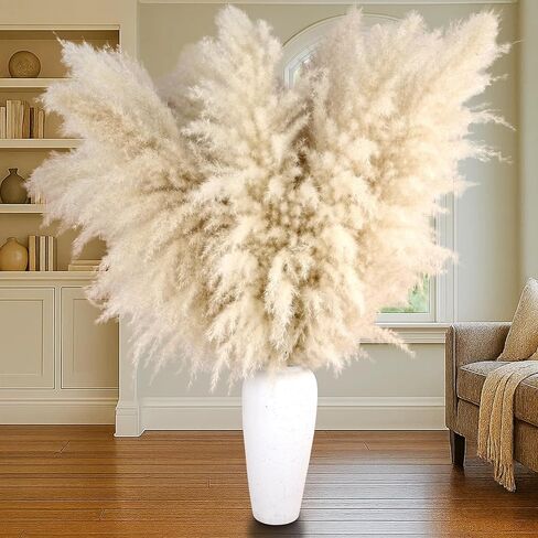 40 "20 PCS Decord Natural Pampas Grass Decor ، Pampas طويل القامة بامباس لزهرية الأرض in Kuwait