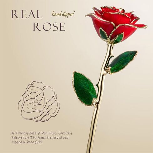 Gold Dipped Rose 24K - Forever Gift for Her,Perfect for Women,Girlfriend Gifts,Valentine’s Day,Birthday or Graduation Gifts - Red in Kuwait
